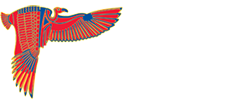 Cairo International Airport
