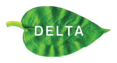 Delta Group Gases